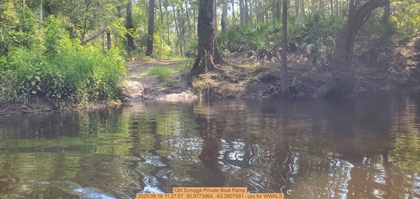 [Old Scruggs Private Boat Ramp, 2025:08:16 11:27:57, 30.9773964, -83.2607581 --jsq for WWALS]