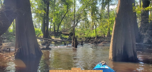 [Cat Creek, 2025:08:16 11:37:54, 30.9755800, -83.2615821 --jsq for WWALS]