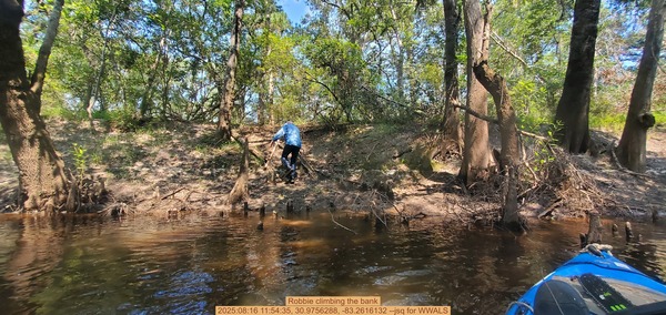 Robbie climbing the bank, 2025:08:16 11:54:35, 30.9756288, -83.2616132 --jsq for WWALS