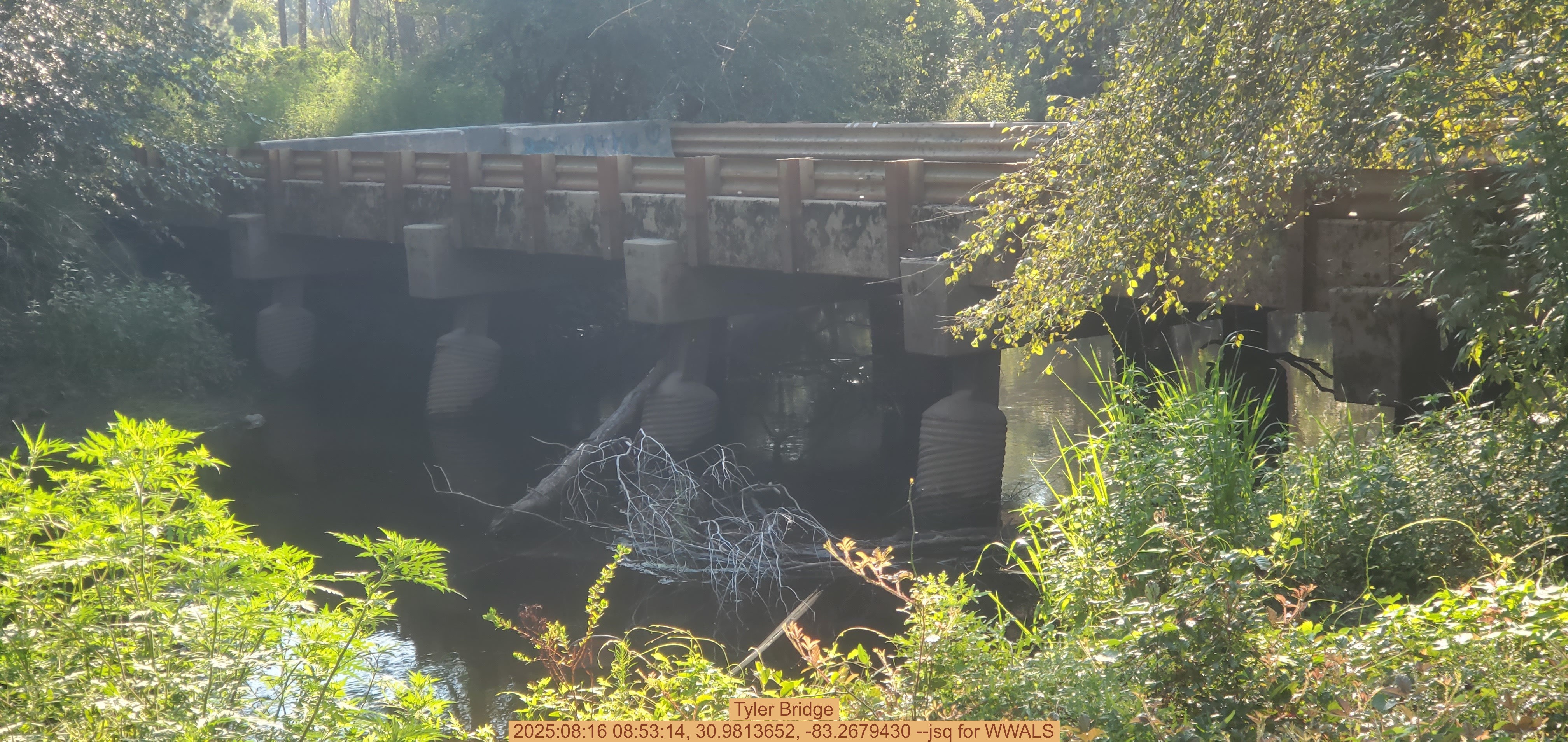 Tyler Bridge, 2025:08:16 08:53:14, 30.9813652, -83.2679430 --jsq for WWALS