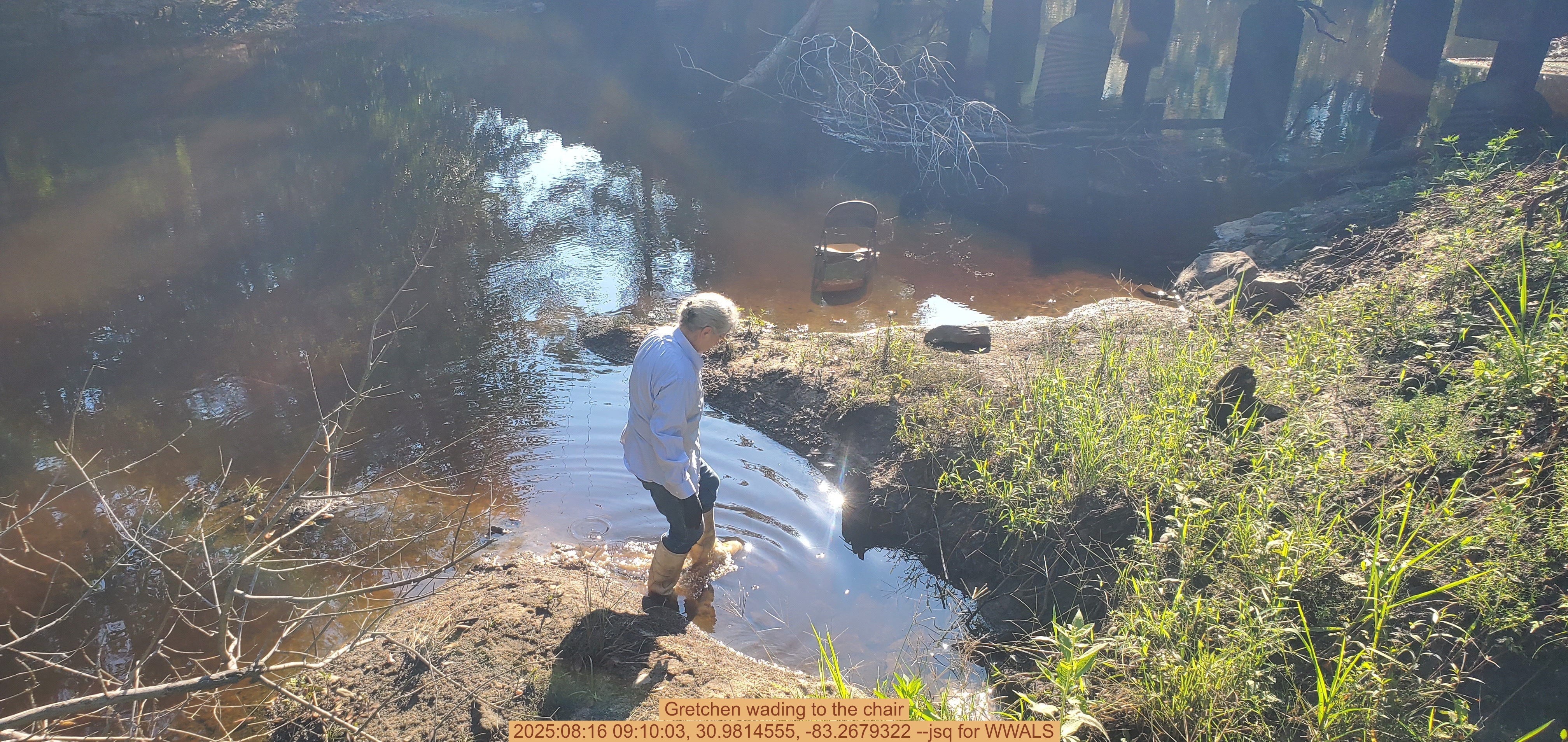 Gretchen wading to the chair, 2025:08:16 09:10:03, 30.9814555, -83.2679322 --jsq for WWALS