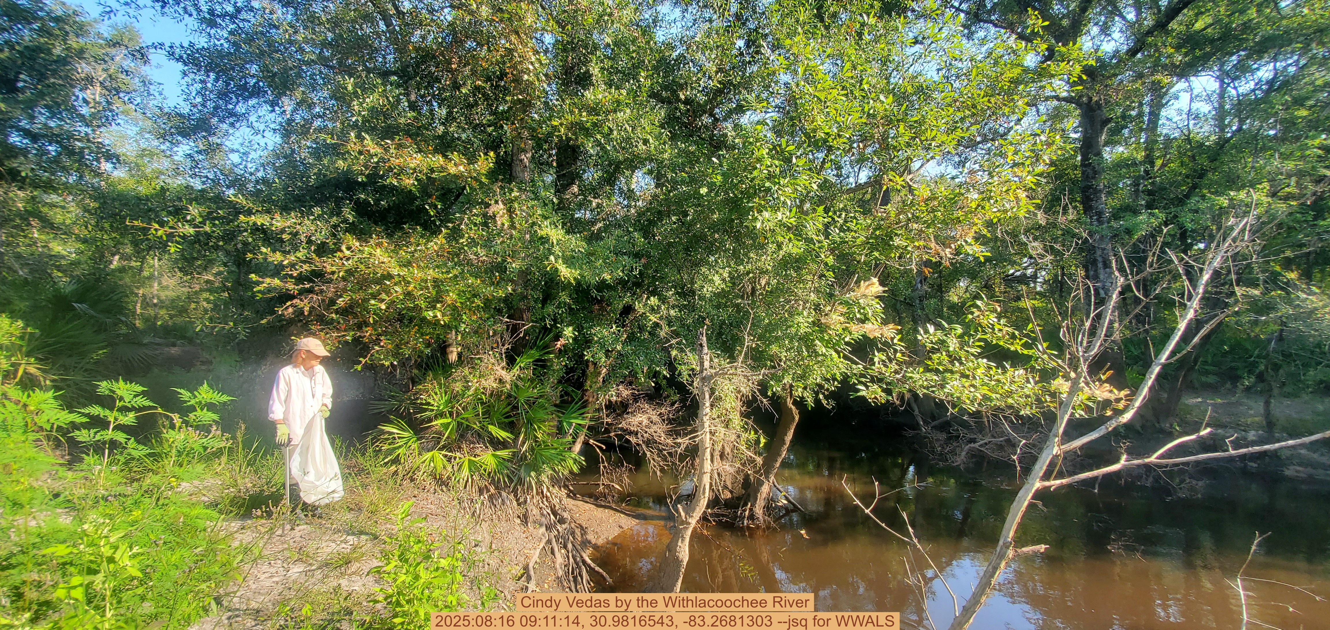 Cindy Vedas by the Withlacoochee River, 2025:08:16 09:11:14, 30.9816543, -83.2681303 --jsq for WWALS