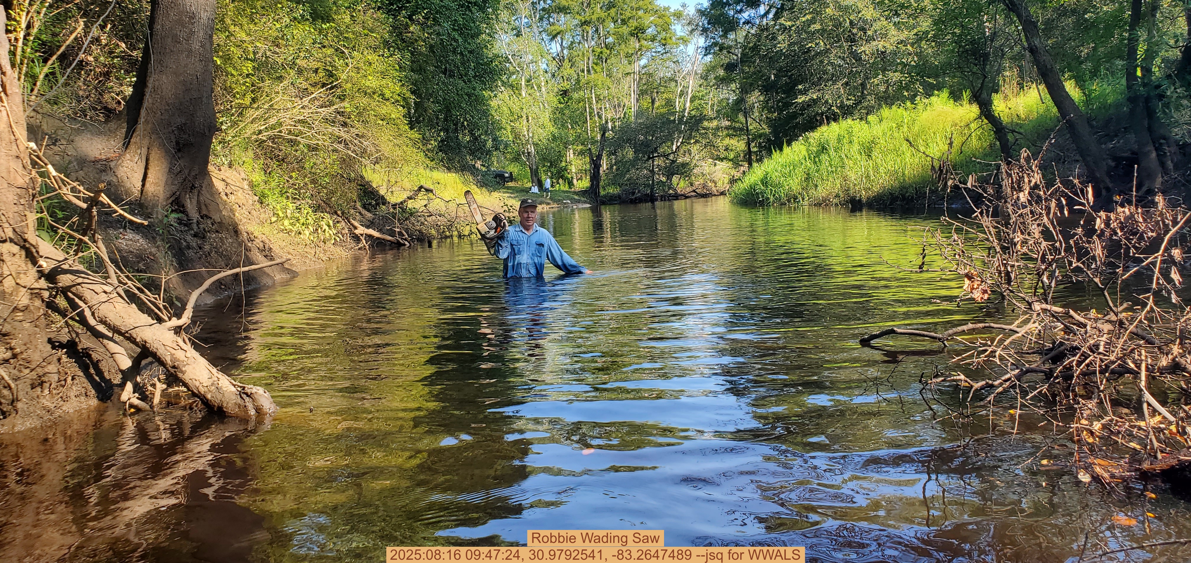 Robbie Wading Saw, 2025:08:16 09:47:24, 30.9792541, -83.2647489 --jsq for WWALS