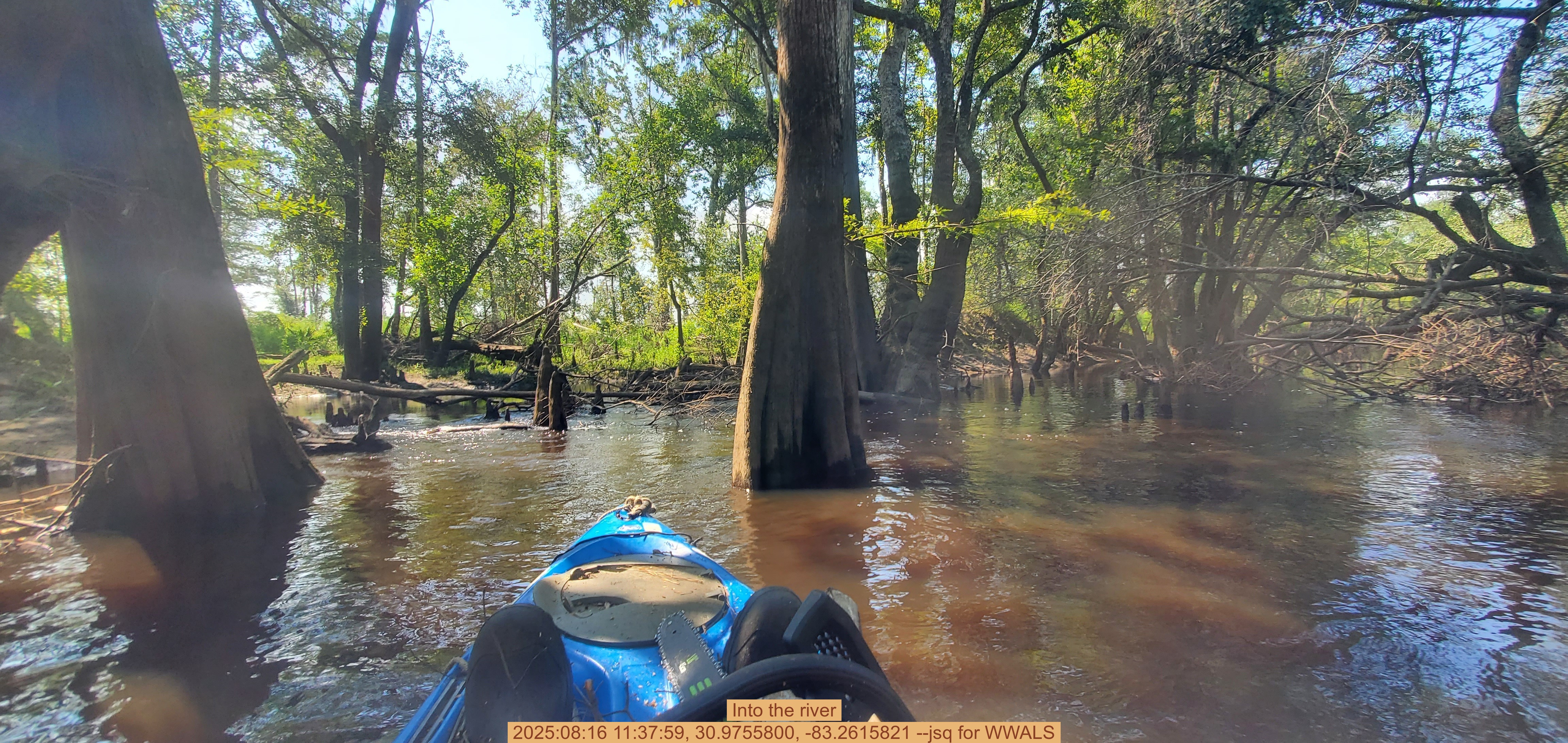 Into the river, 2025:08:16 11:37:59, 30.9755800, -83.2615821 --jsq for WWALS