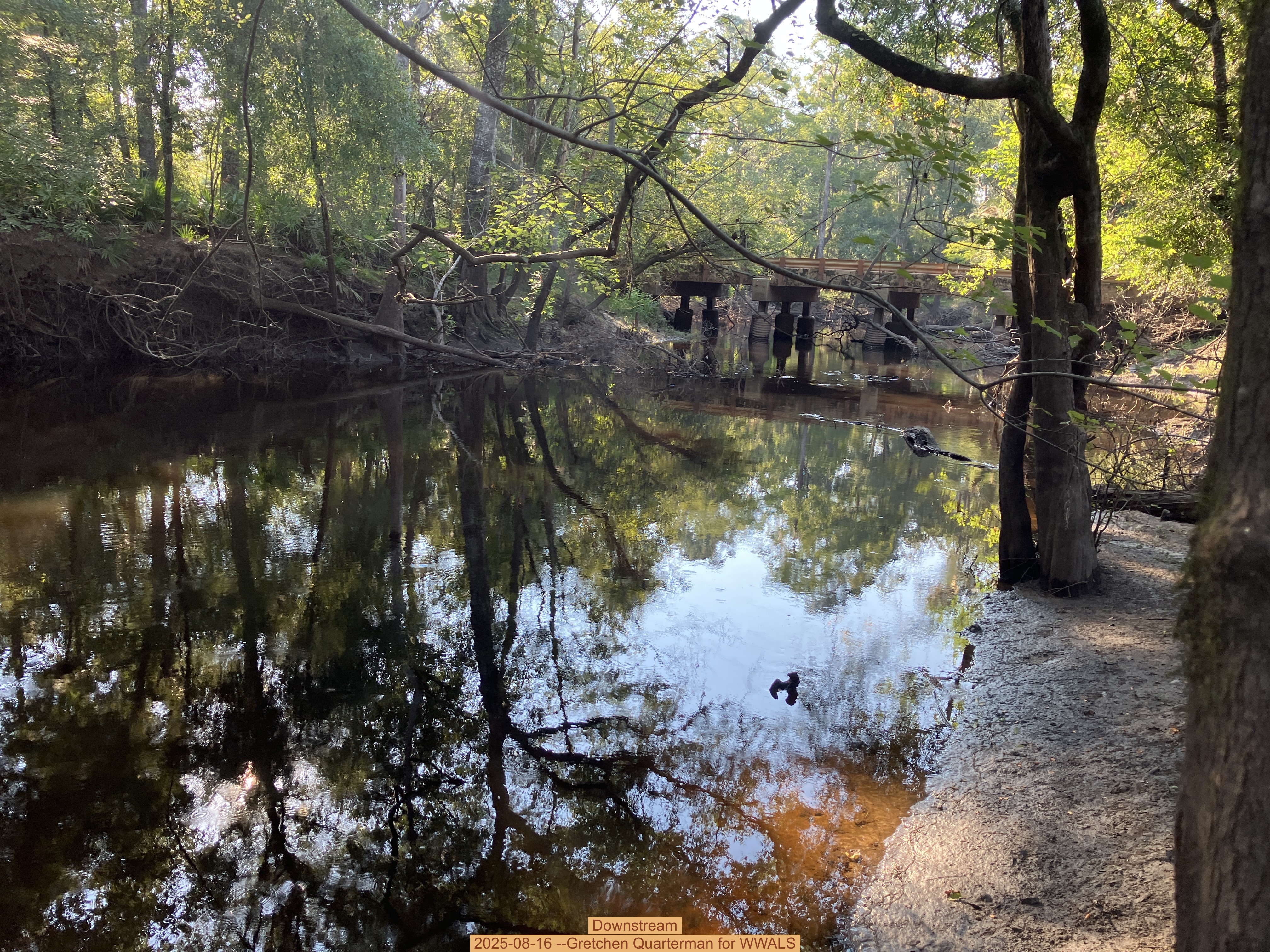 Downstream, 2025-08-16 --Gretchen Quarterman for WWALS
