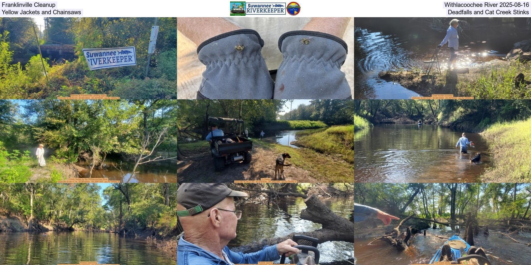 Franklinville Cleanup, Withlacoochee River 2025-08-16, Yellow Jackets, Deadfalls, and Cat Creek