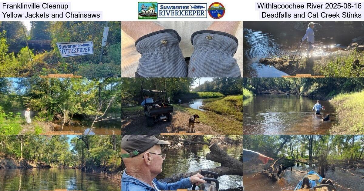 [Franklinville Cleanup, Withlacoochee River 2025-08-16, Yellow Jackets and Chainsaws, Deadfalls, and Cat Creek Stinks]