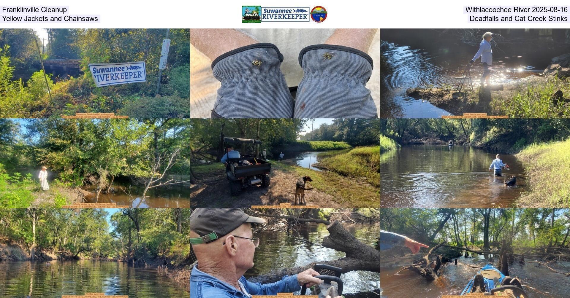 [Franklinville Cleanup, Withlacoochee River 2025-08-16, Yellow Jackets and Chainsaws, Deadfalls, and Cat Creek Stinks]