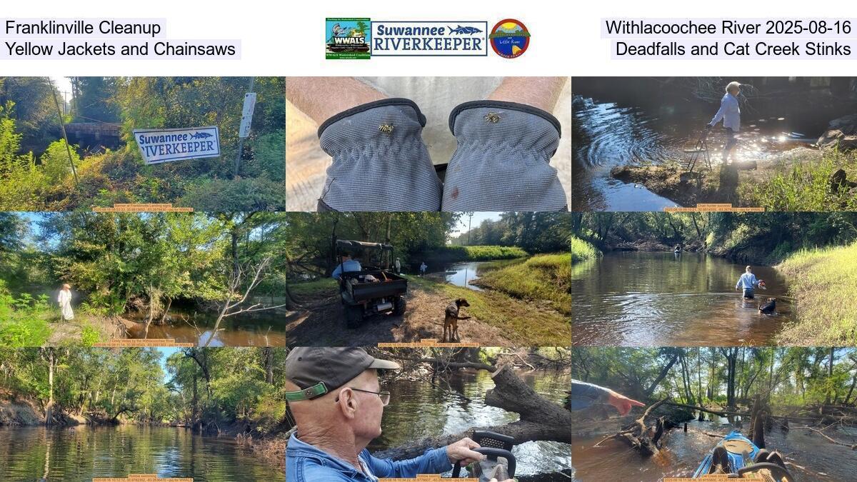 Franklinville Cleanup, Withlacoochee River 2025-08-16, Yellow Jackets, Deadfalls, and Cat Creek