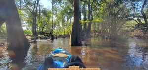 [Into the river, 2025:08:16 11:37:59, 30.9755800, -83.2615821 --jsq for WWALS]