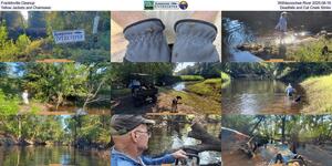 [Franklinville Cleanup, Withlacoochee River 2025-08-16, Yellow Jackets and Chainsaws, Deadfalls, and Cat Creek Stinks]