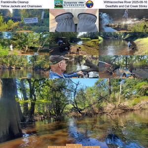 [Franklinville Cleanup, Withlacoochee River 2025-08-16, Yellow Jackets and Chainsaws, Deadfalls, and Cat Creek Stinks]