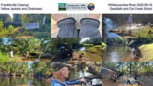 [Franklinville Cleanup, Withlacoochee River 2025-08-16, Yellow Jackets and Chainsaws, Deadfalls, and Cat Creek Stinks]
