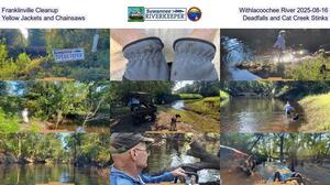 [Franklinville Cleanup, Withlacoochee River 2025-08-16, Yellow Jackets and Chainsaws, Deadfalls, and Cat Creek Stinks]