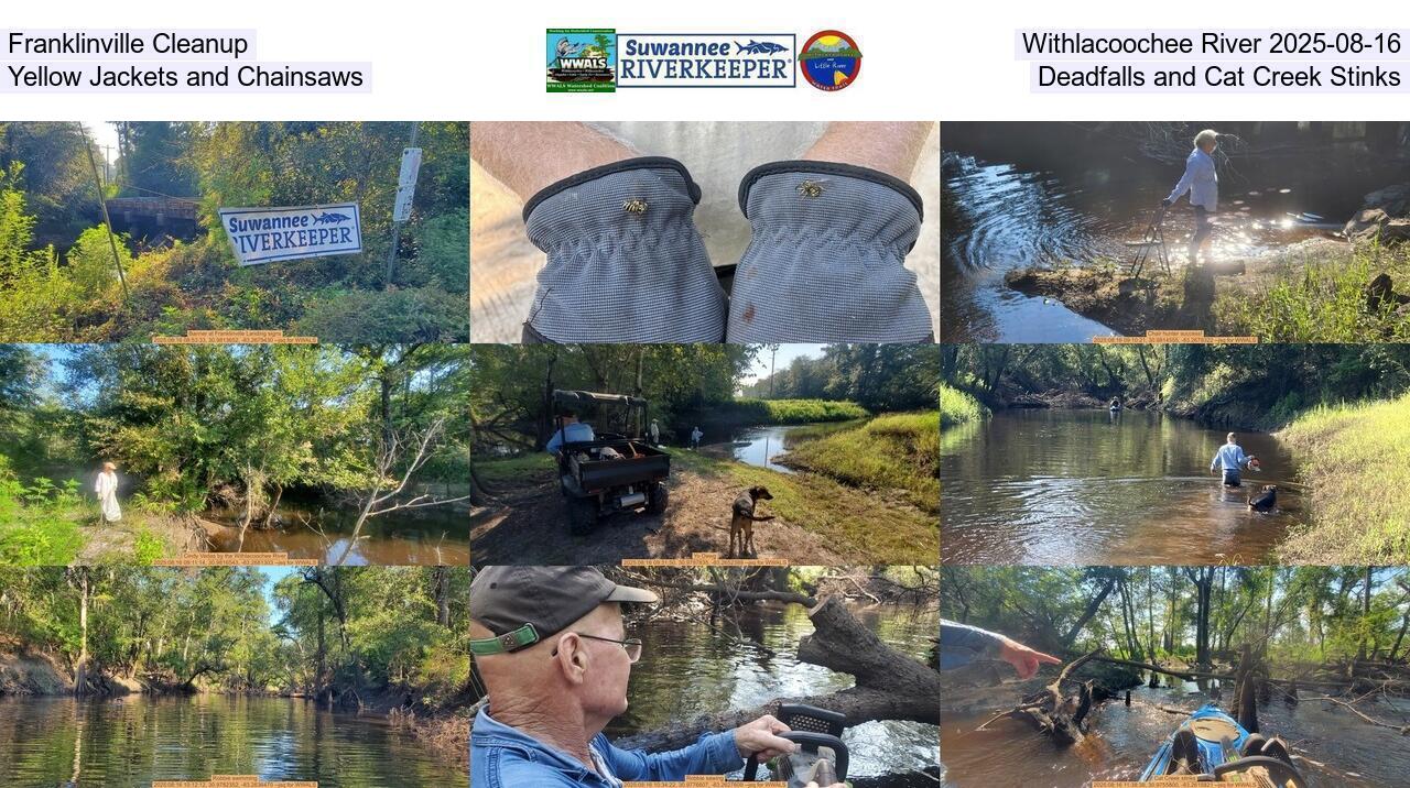 Franklinville Cleanup, Withlacoochee River 2025-08-16, Yellow Jackets, Deadfalls, and Cat Creek