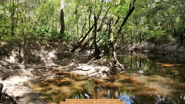 [A point on the Withlacoochee River below Franklinville, 2019:08:03 10:46:46, 30.9785656, -83.2643913 --jsq for WWALS]