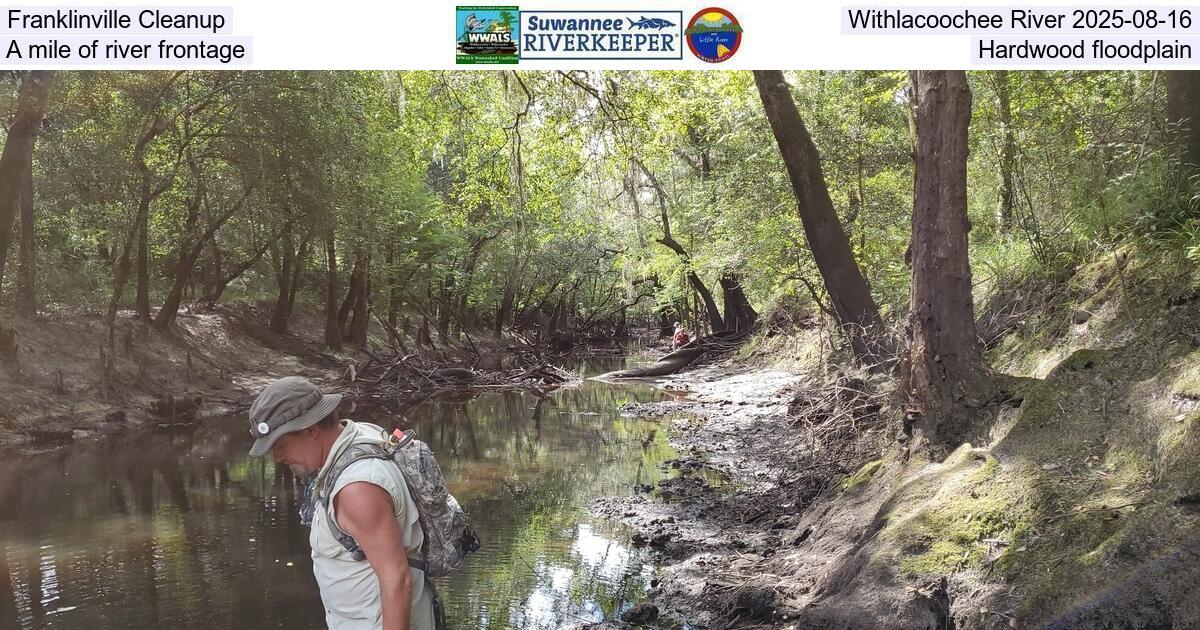 [Franklinville Cleanup, Withlacoochee River 2025-08-16, A mile of river frontage, Hardwood floodplain]