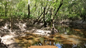 [A point on the Withlacoochee River below Franklinville, 2019:08:03 10:46:46, 30.9785656, -83.2643913 --jsq for WWALS]