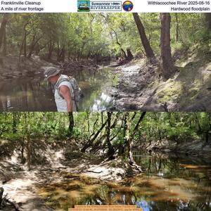 [Franklinville Cleanup, Withlacoochee River 2025-08-16, A mile of river frontage, Hardwood floodplain]