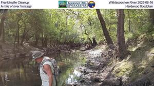 [Franklinville Cleanup, Withlacoochee River 2025-08-16, A mile of river frontage, Hardwood floodplain]