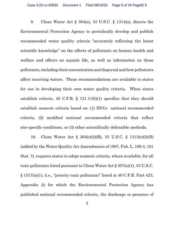 Page 07