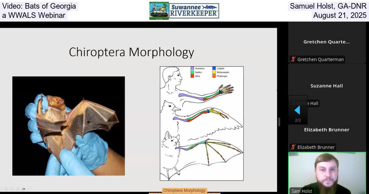 [Video: Bats of Georgia, Samuel Holst, GA-DNR, a WWALS Webinar, August 21, 2025]