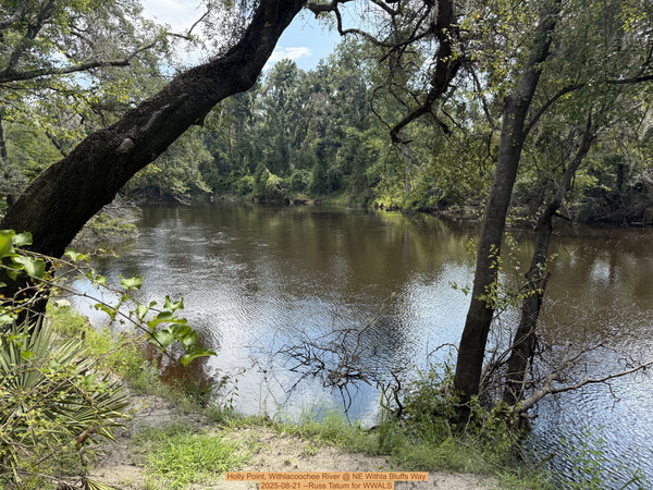 [Holly Point, Withlacoochee River @ NE Withla Bluffs Way 2025-08-21 --Russ Tatum for WWALS]