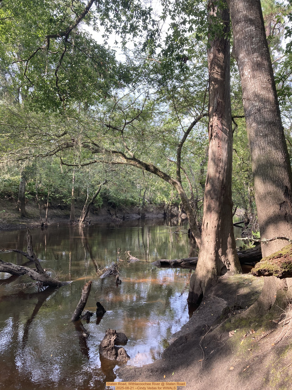 [Staten Road, Withlacoochee River @ Staten Road 2025-08-21 --Cindy Vedas for WWALS]