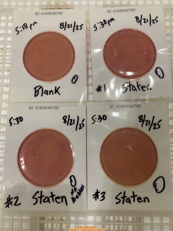 Plates, Staten Road 2025-08-21 --Cindy Vedas for WWALS