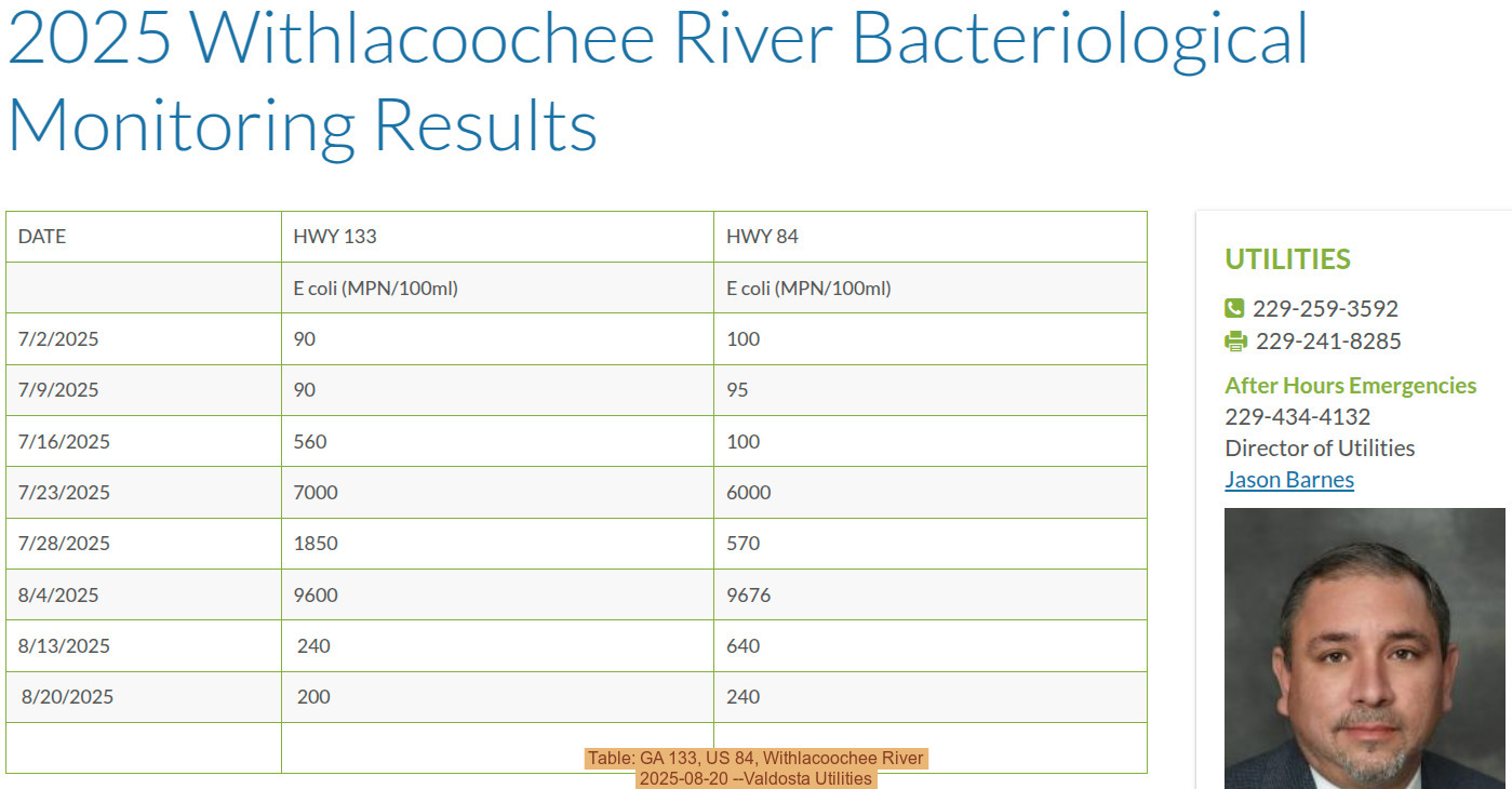 Table: GA 133, US 84, Withlacoochee River, 2025-08-20 --Valdosta Utilities