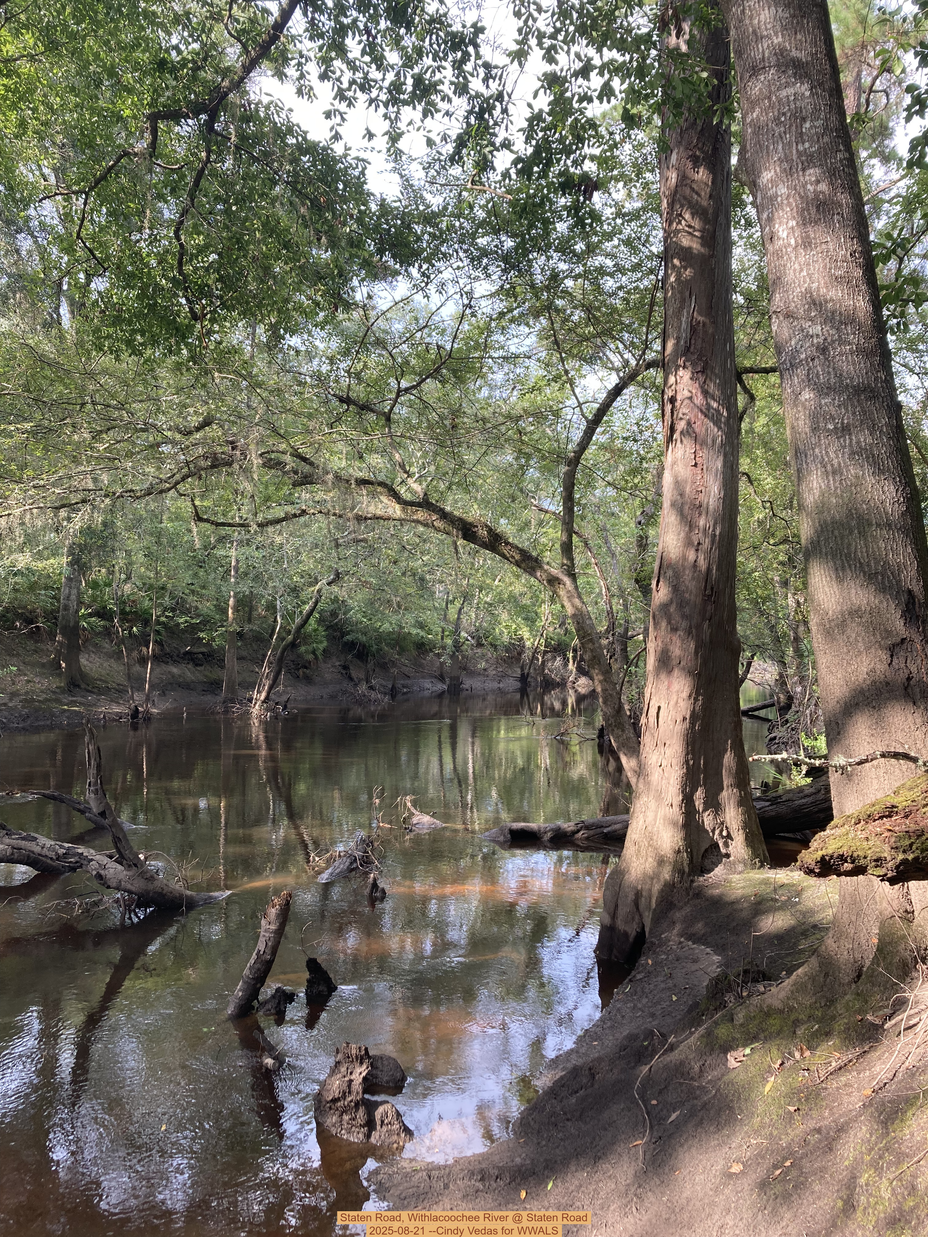 Staten Road, Withlacoochee River @ Staten Road 2025-08-21 --Cindy Vedas for WWALS