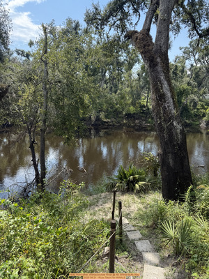 [Holly Point other, Withlacoochee River @ NE Withla Bluffs Way 2025-08-21 --Russ Tatum for WWALS]