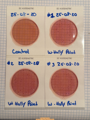 [Plates, Holly Point 2025-08-21 --Russ Tatum for WWALS]
