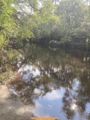 [Staten Road other, Withlacoochee River @ Staten Road 2025-08-21 --Cindy Vedas for WWALS]