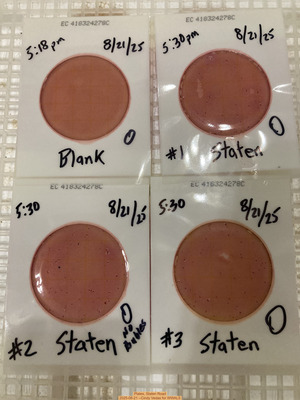 [Plates, Staten Road 2025-08-21 --Cindy Vedas for WWALS]