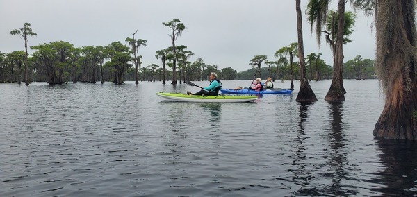 [Trio into the cypress, 2025-08-23 --jsq for WWALS]