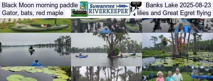 Black Moon morning paddle, Banks Lake 2025-08-23, Gator, bats, red maple, lilies, and Great Egret flying