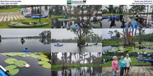 [Black Moon morning paddle, Banks Lake 2025-08-23, Gator, bats, red maple, lilies, and Great Egret flying]