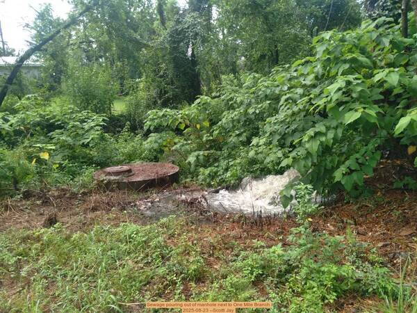 [Sewage pouring out of manhole next to One Mile Branch, 2025-08-23 --Scotti Jay]