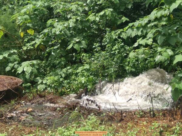 [Closeup of overflowing manhole, 2025-08-23 --Scotti Jay]