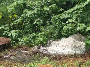 [Closeup of overflowing manhole, 2025-08-23 --Scotti Jay]