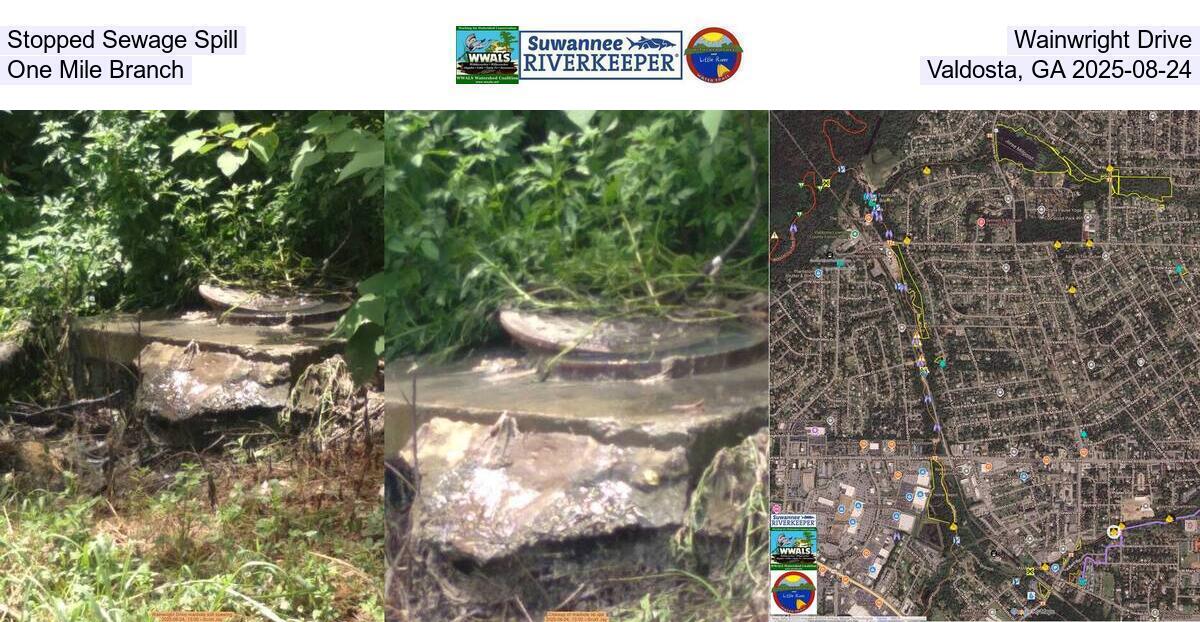 [Stopped Sewage Spill, Wainwright Drive, One Mile Branch, Valdosta, GA 2025-08-24]