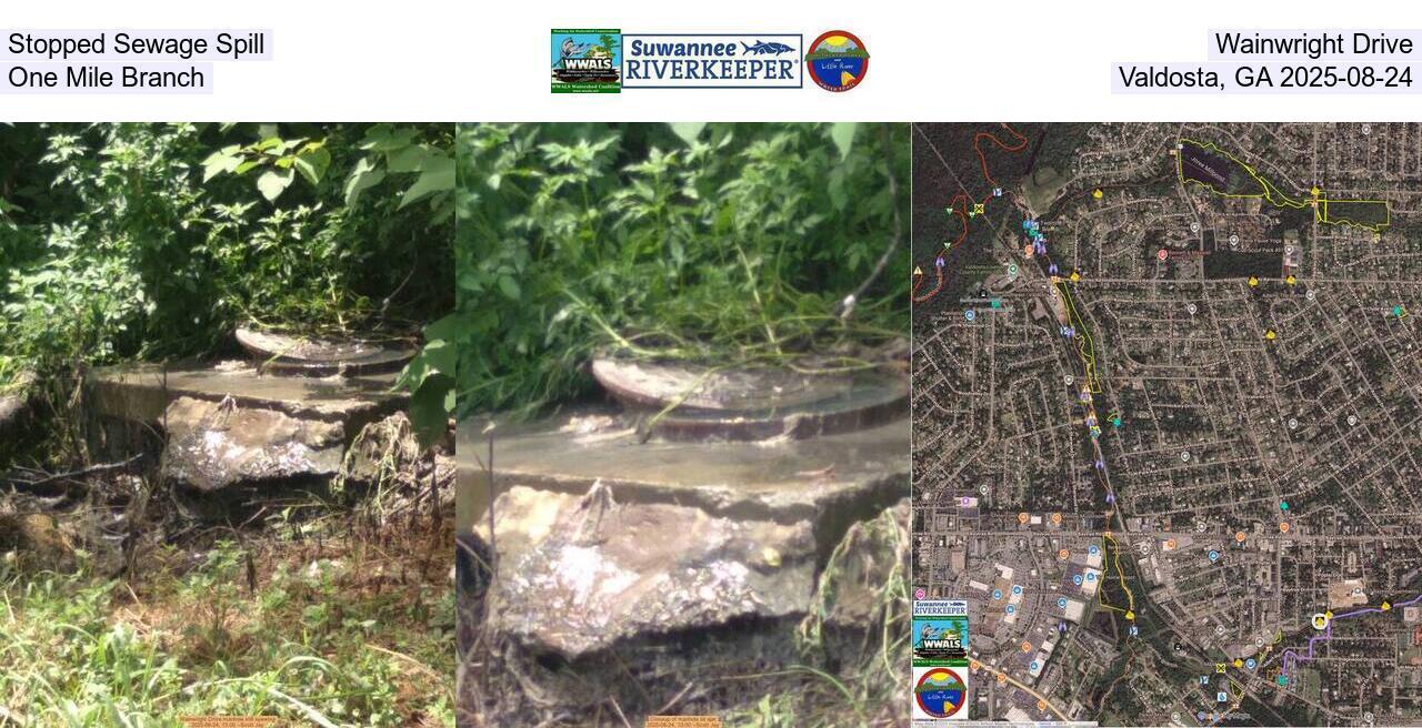 Stopped Sewage Spill, Wainwright Drive, One Mile Branch, Valdosta, GA 2025-08-24