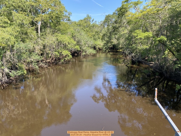 [Sheboggy Boat Ramp, Alapaha River @ US 82 2025-08-28 --Heather Brasell for WWALS]