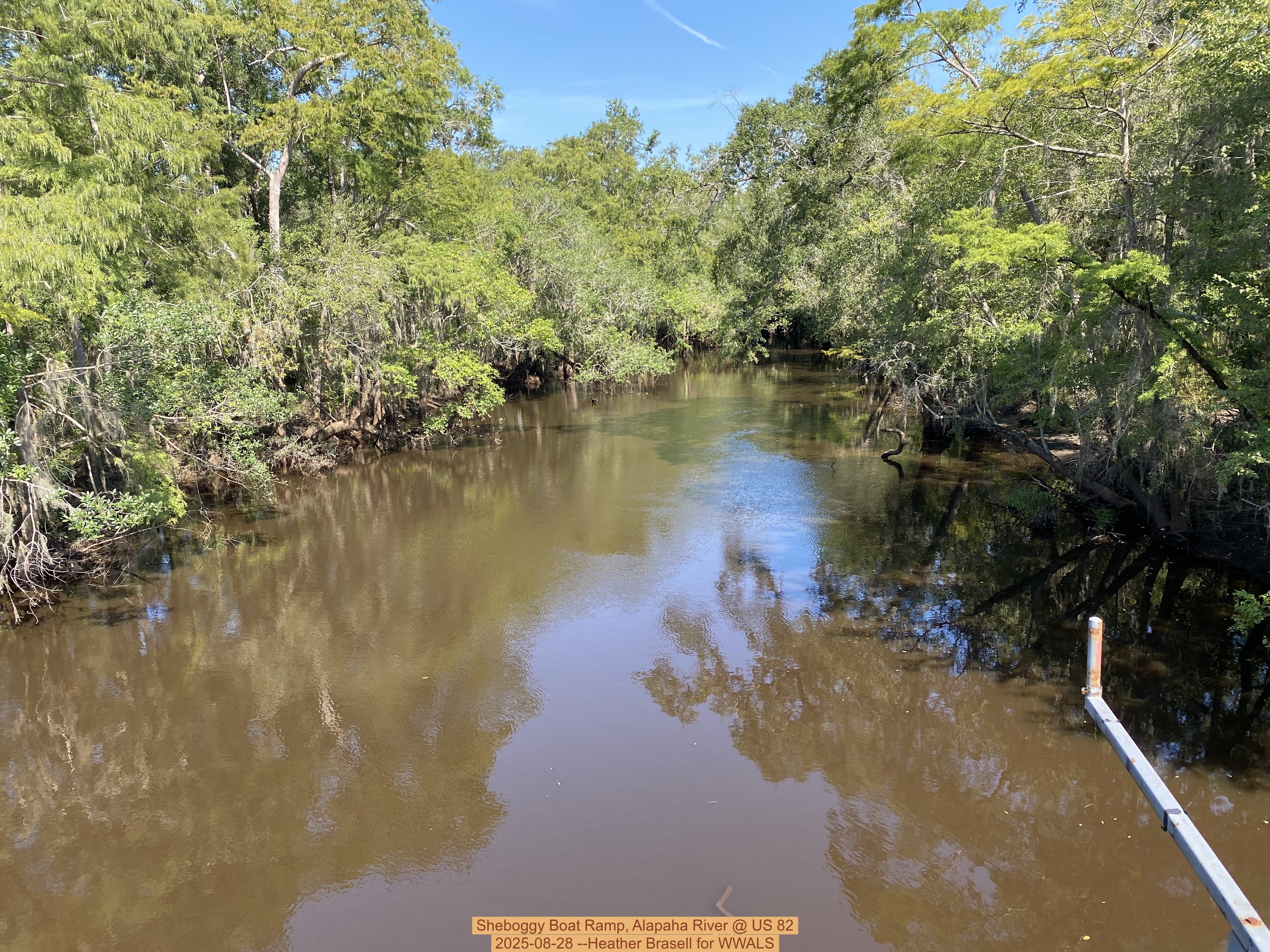 Sheboggy Boat Ramp, Alapaha River @ US 82 2025-08-28 --Heather Brasell for WWALS