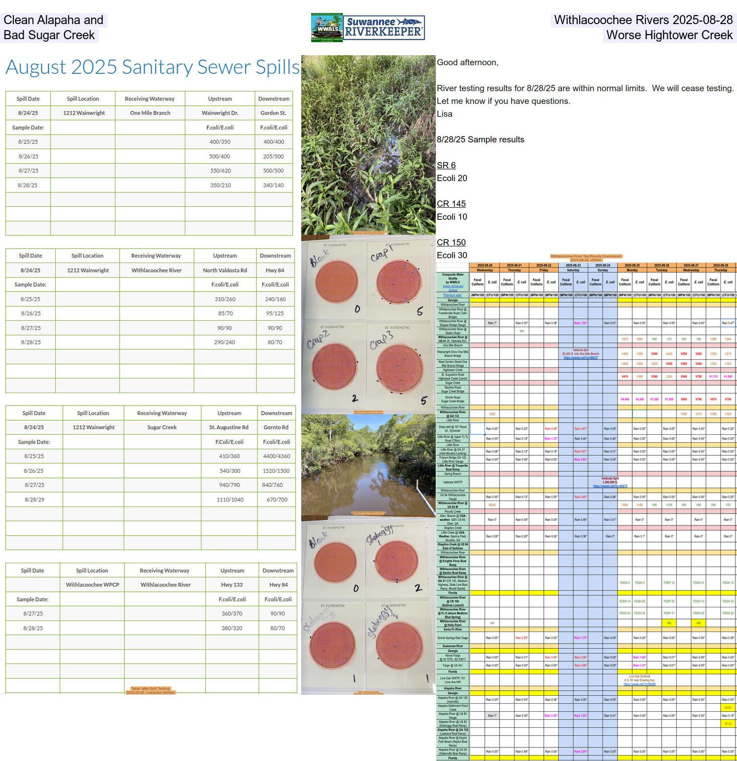 [Clean Alapaha and Withlacoochee Rivers 2025-08-28, Bad Sugar Creek, Worse Hightower Creek]