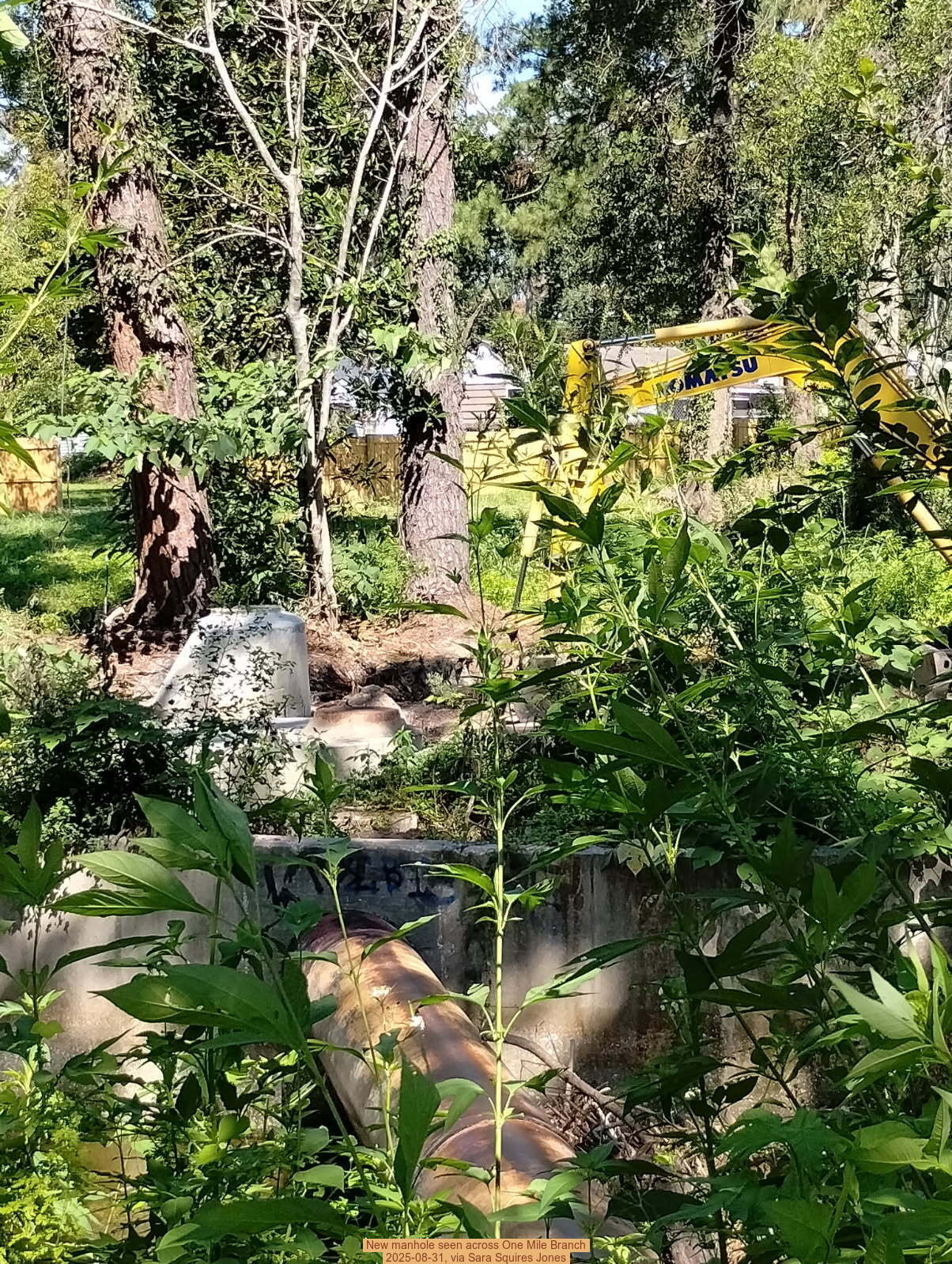 New manhole seen across One Mile Branch, 2025-08-31, via Sara Squires Jones