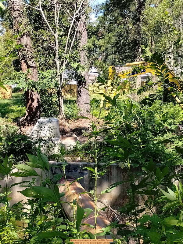 [New manhole seen across One Mile Branch, 2025-08-31, via Sara Squires Jones]