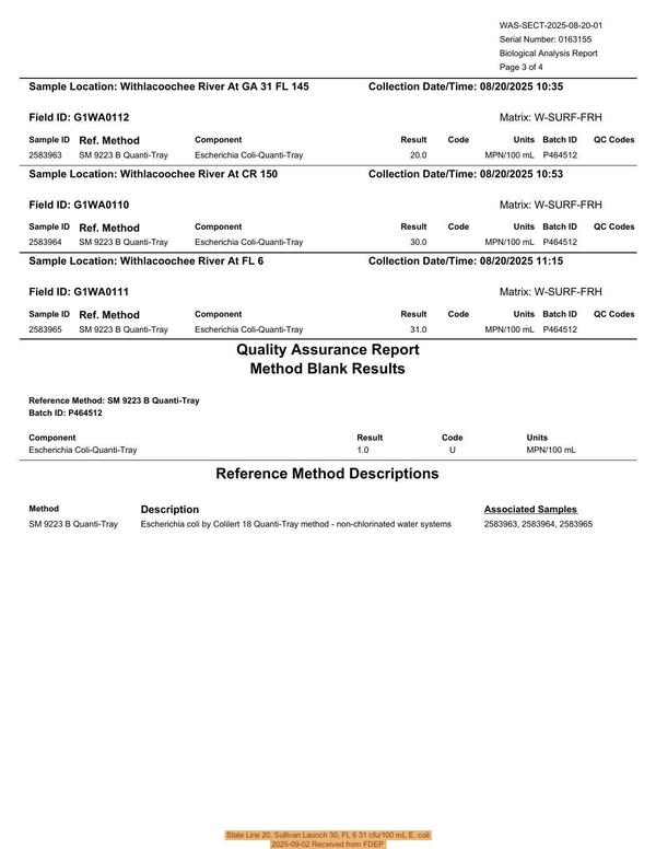 State Line 20, Sullivan Launch 30, FL 6 31 cfu/100 mL E. coli, 2025-09-02 Received from FDEP