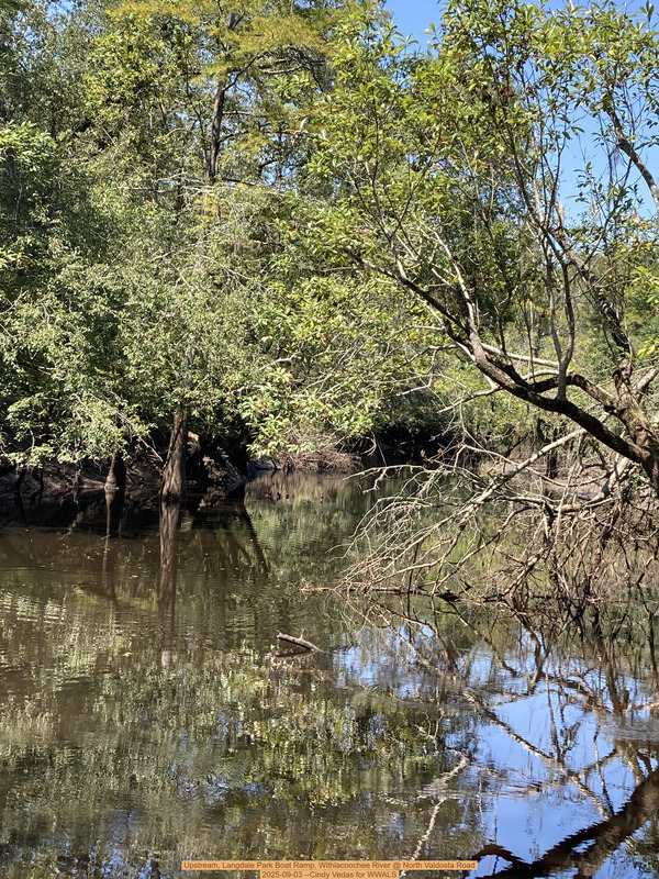 Upstream, Langdale Park Boat Ramp, Withlacoochee River @ North Valdosta Road 2025-09-03 --Cindy Vedas for WWALS